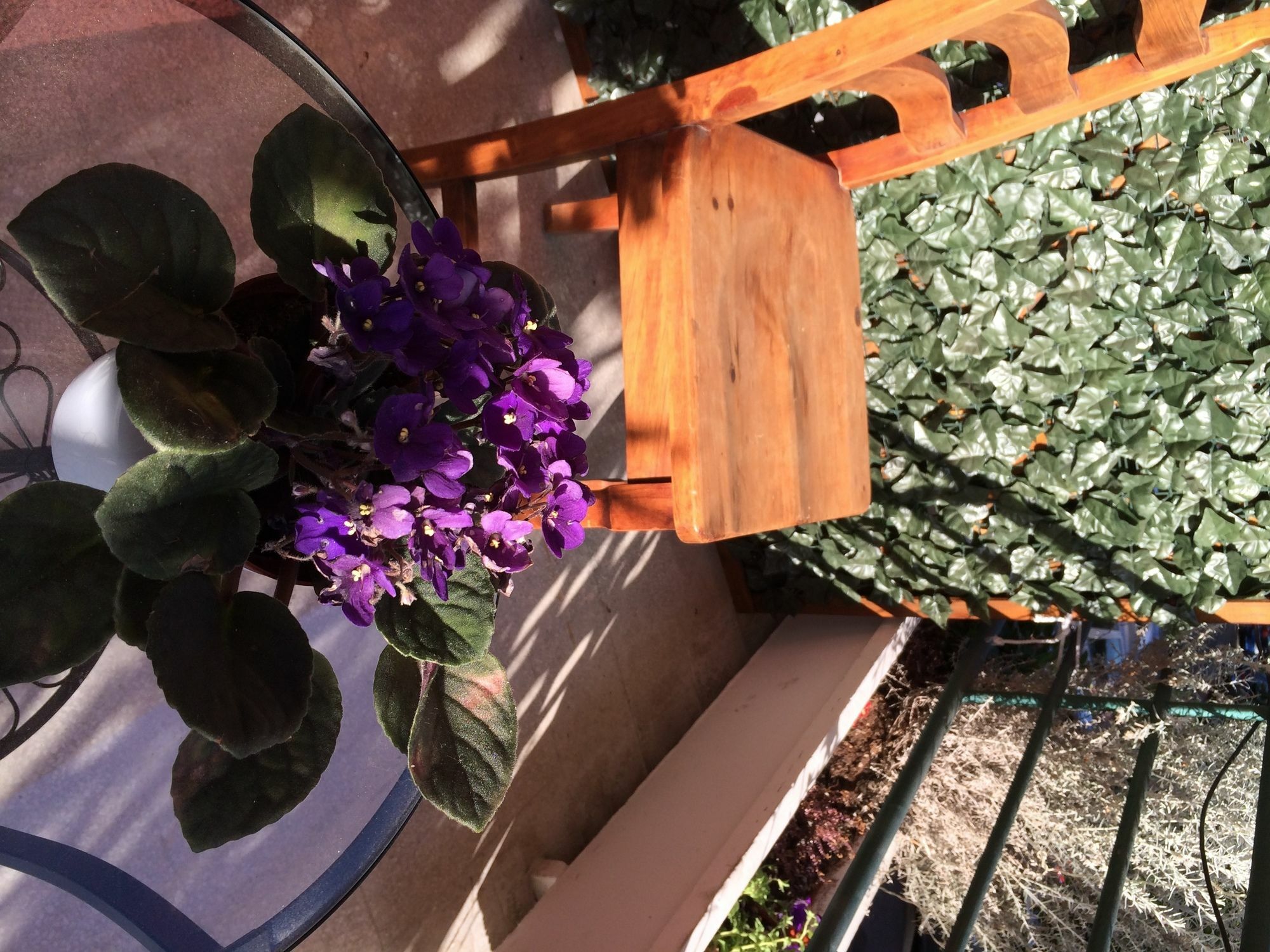 Shelisa B&B Rome Extérieur photo